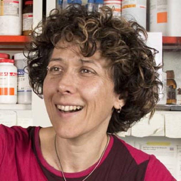 Andrea Gamarnik Alchetron, The Free Social Encyclopedia